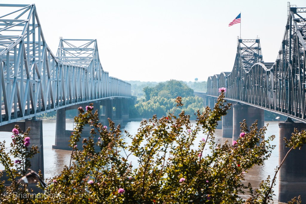 Journey to Florida Part&nbsp;2